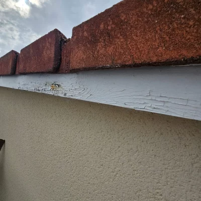 Habillage rives de toit